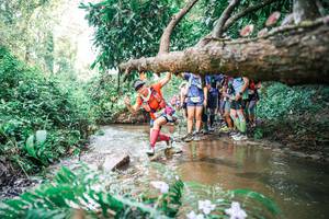 BIB: 
                            <button type="button" onclick="openModal(25514296)" class="btn btn-primary btn-sm float-right btn-popup" data-toggle="modal" data-target=".modal-high-quality">
                        <i class="fas fa-shopping-cart"></i> Add to Cart
                    </button>
                                            <button type="button" onclick="isThisMe(25514296, true)" class="btn btn-success btn-sm float-right btn-popup btn-isme hidden" data-toggle="tooltip" data-placement="bottom" title="นี่คือรูปของคุณใช่ไหม คลิกที่นี่เพื่อเอาเข้าอัลบั้ม">
                        <i class="fas fa-plus"></i> Add to album
                    </button>
                    <button type="button" onclick="isThisMe(25514296, false)" class="btn btn-warning btn-sm float-right btn-popup btn-isnotme hidden">
                        <i class="fas fa-ban"></i> Remove from album
                    </button>